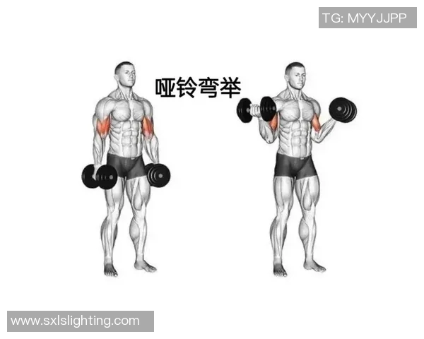 轻松掌握哑铃减肥技巧全方位视频教程助你塑造完美身材 轻松掌握哑铃减肥技巧全方位视频教程助你塑造完美身材